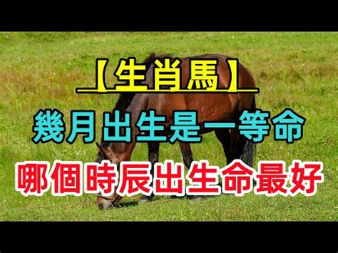 67年次屬馬|屬馬今年幾歲｜屬馬民國年次、馬年西元年